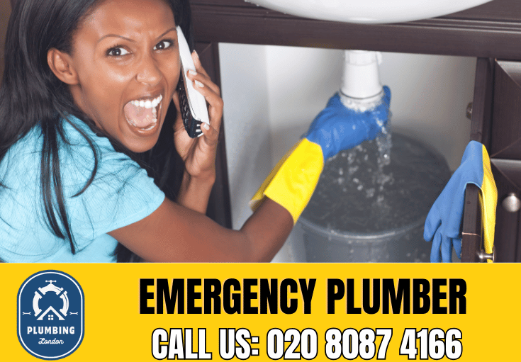 emergency plumber Greenwich