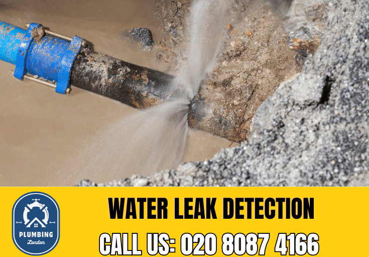 leak detection Greenwich